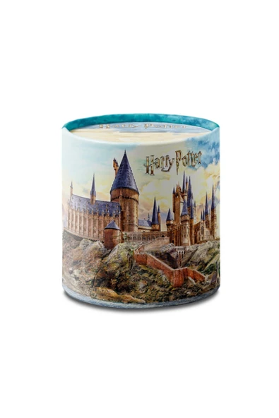 GiFi Harry Potter Lisanslı Metal Kumbara ürün görseli 1