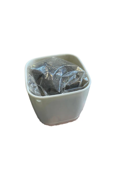 Dörtel Tedarik Hobby Tohum Dikim Seti - Resim 4