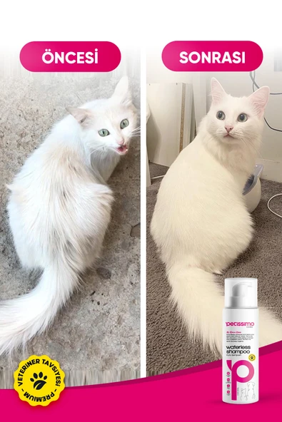 Petissimo Care Kuru Kedi Şampuanı - Bit Pire Kene Ve Parazit Önleyici - Tüy Dökülmesi Karşıtı - 200 ml - Resim 4