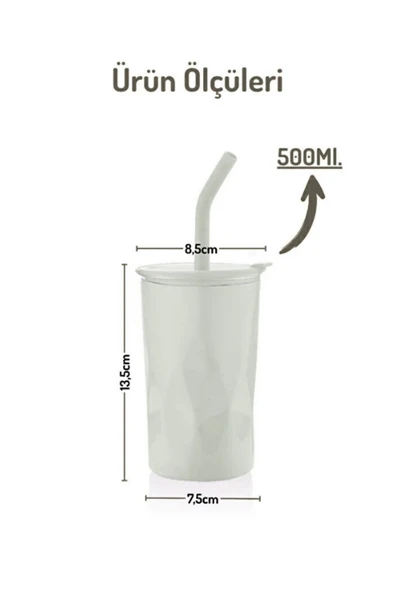 Tohana H2o 5'i 1 Yerde Çelik Pipetli Cam Detox Kupa Temizleyici Hediyeli 650 ML Gri - Resim 8