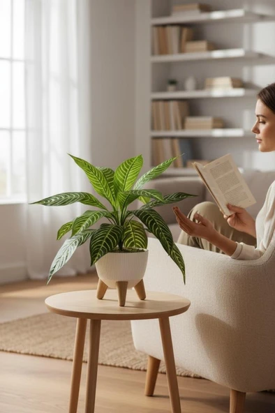 Yapay Çiçek Drecana Yukka 18 Yapraklı Salon Çiçeği Zigon Saksıda Yapay Bitki - Resim 6