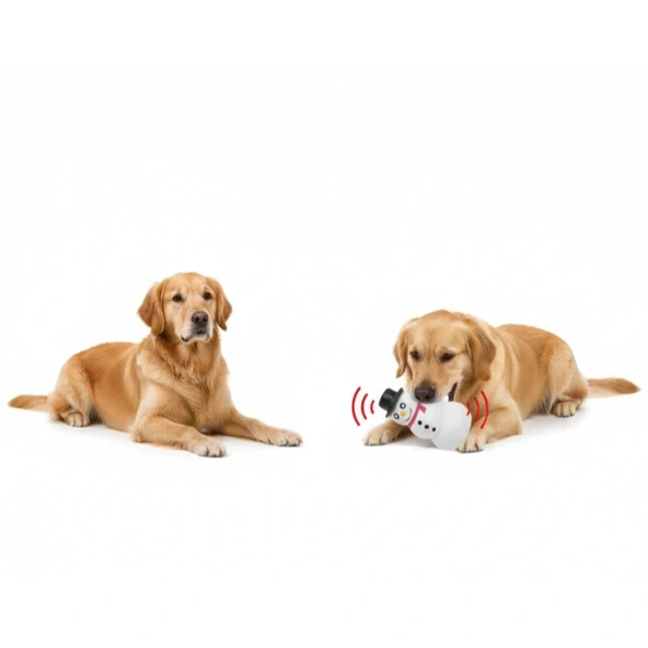 Sesli Kardan Adam Tasarımlı Oyuncak ürün görseli 1