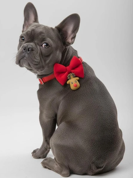 Yılbaşı Geyiği Köpek Papyon Tasması | Kırmızı Fiyonk Boyun Aksesuarı | Noel Temalı Köpek Süsü | Orta ve Büyük Irklar İçin - Resim 3