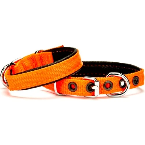 Softlu Köpek Boyun Tasması 1,5 cm x 30 cm Tcu ürün görseli 1