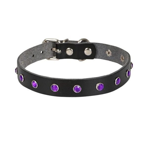 Taşlı Kedi ve Yavru Köpek Tasması 1,2x26 cm Mavi Large - Resim 4