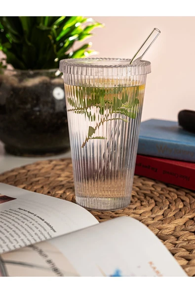 Rembox 600 ml Kapaklı Pipetli Origami Mika Bardak - Cam Pipetli Kahve ve Meşrubat Bardağı ürün görseli 1