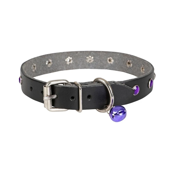 Taşlı Kedi ve Yavru Köpek Tasması 1,2x26 cm Mavi Large - Resim 5