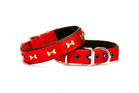 Softlu Kemik Desenli Köpek Tasması 2,5 cm x 50 cm Kırmızı ürün görseli 1