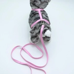 Kedi Düz Göğüs Tasması Ve Gezdirme Seti Ps9640 ürün görseli 1