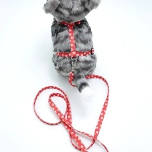 Kedi Patili Göğüs Tasması Ve Gezdirme Seti Ps9647 ürün görseli 1