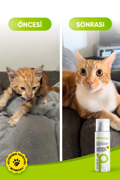 Petissimo Care Arındırıcı Kedi Şampuanı - Pire Parazit Kene Karşıtı Kedi Şampuanı - 200 ml - Resim 5