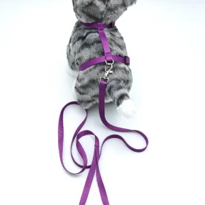 Kedi Düz Göğüs Tasması Ve Gezdirme Seti Ps9639 ürün görseli 1