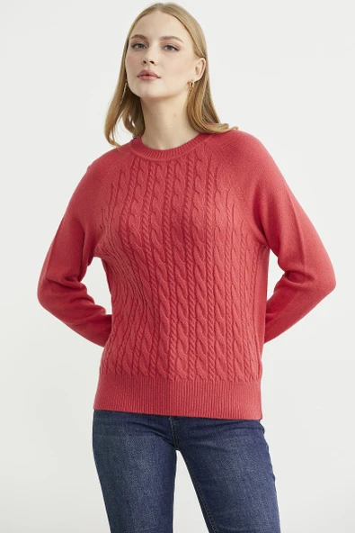 Motifli Daire Yaka Triko Kazak - Gül - Resim 2