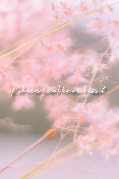 Deep Fresh Cubuklu Oda Kokusu Pudra 100 Ml - Resim 3