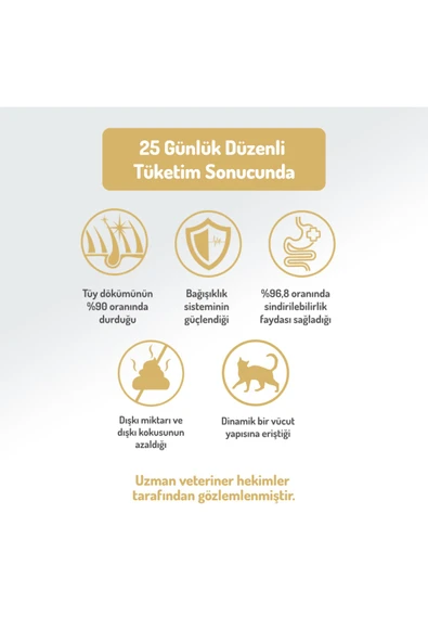 Felicia Kitten Tavuk Etli 2 kg Yavru Kedi Maması - Resim 5