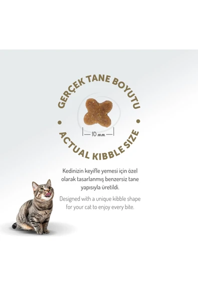 Felicia Kitten Tavuk Etli 2 kg Yavru Kedi Maması - Resim 7