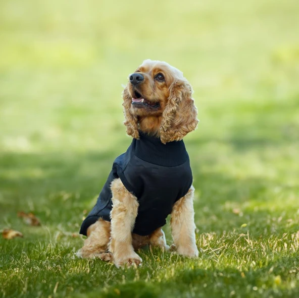 Kuccu Kuccu Soft Shell Köpek Kamuflaj Siyah XXLarge ürün görseli 1