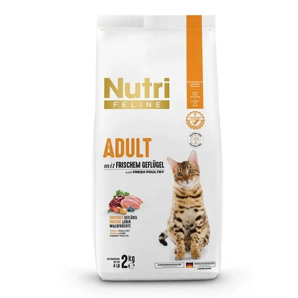 Nutri Feline Tavuklu Yetişkin Düşük Tahıllı Kedi Maması 2 Kg ürün görseli 1