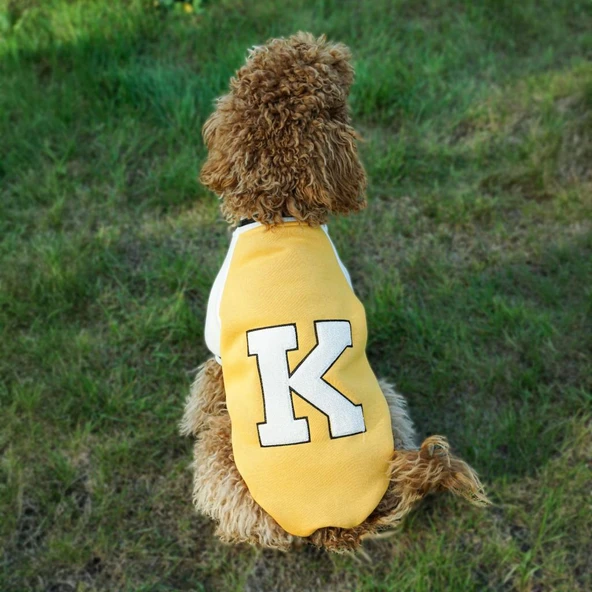 Kuccu Kuccu Kolej Köpek Sweatshirt Sarı XLarge ürün görseli 1