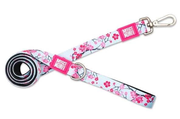 Max Molly Cherry Bloom Köpek Gezdirme Kayışı Medium ürün görseli 1