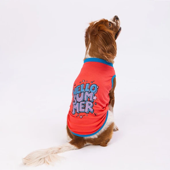 Pawstar Vermilion Hello Summer Köpek T-Shirt XLarge ürün görseli 1