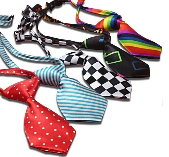 Lion Kravat Şeklinde Kedi ve Köpek Boyun Tasması ürün görseli 1