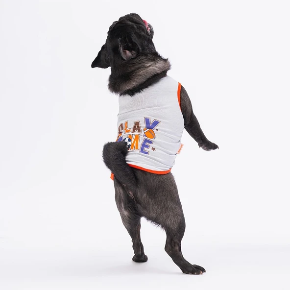 Pawstar Grey Sporty Köpek T-Shirt XLarge ürün görseli 1