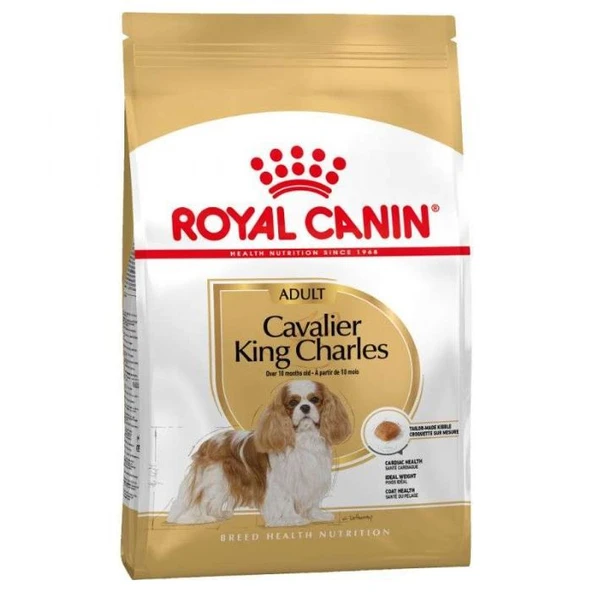 Royal Canin Cavalier King Charles 27 Yetişkin Köpek Maması 3 Kg ürün görseli 1