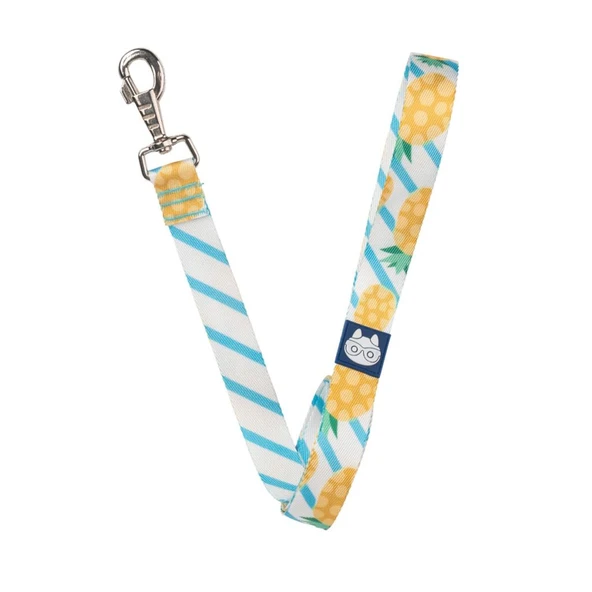 Nazz Köpek Gezdirme Tasması Ananaslı Small 1,5X120 Cm ürün görseli 1