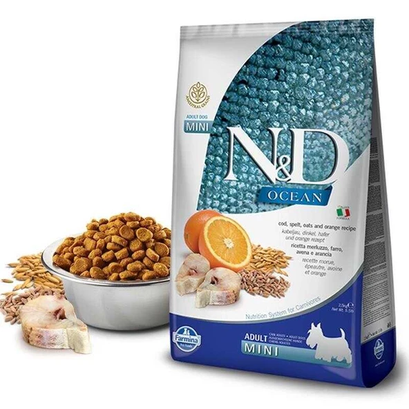 N&D Ocean Düşük Tahıllı Balık Portakallı Mini Yetişkin Köpek Maması 2.5 Kg ürün görseli 1