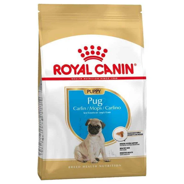 Royal Canin Pug Junior Yavru Köpek Maması 1,5 Kg ürün görseli 1