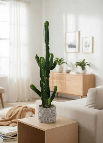 Yapay Kaktüs Euphorbia İngens Şamdan Ağacı Beton Saksıda Yapay Bitki 70cm - Resim 7