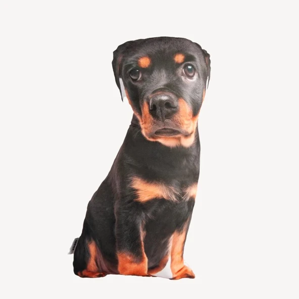 Lepus 3 Boyutlu Köpek Yastığı No 17 40x25 Cm ürün görseli 1