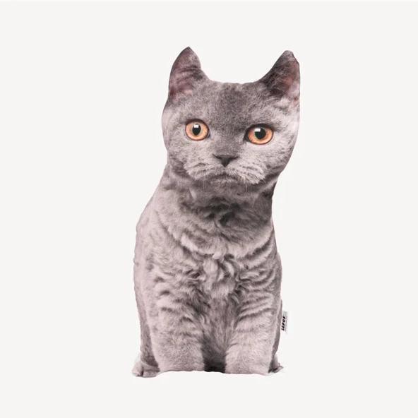 Lepus 3 Boyutlu Kedi Yastığı British No 3 40x25 C ürün görseli 1