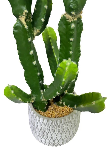 Yapay Kaktüs Euphorbia İngens Şamdan Ağacı Beton Saksıda Yapay Bitki 70cm - Resim 8