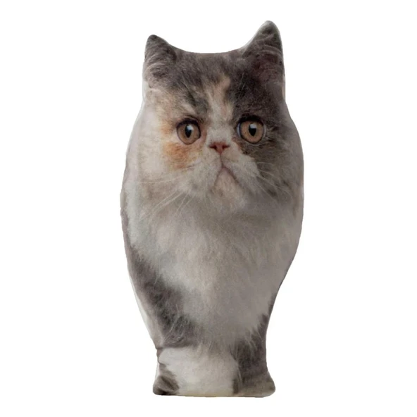 Lepus 3 Boyutlu Kedi Yastığı Exotic No 4 40x25 Cm ürün görseli 1