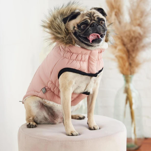 GF PET Urban Parka Köpek Montu Pembe Medium - Resim 4