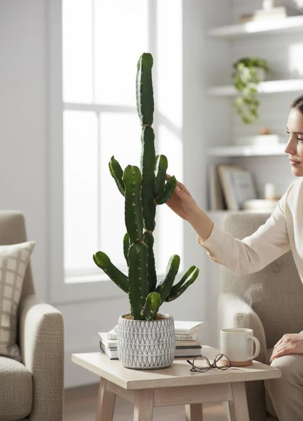 Yapay Kaktüs Euphorbia İngens Şamdan Ağacı Beton Saksıda Yapay Bitki 70cm - Resim 3