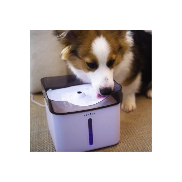 Aclıum Kedi Köpek Su Sebili 187X187X164 mm ürün görseli 1