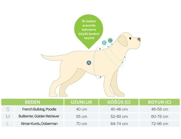 Max Molly Duckling Köpek Bornozu Mavi Small - Resim 5