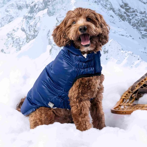 GF PET Lunar Glow Köpek Montu Lacivert XSmall - Resim 3