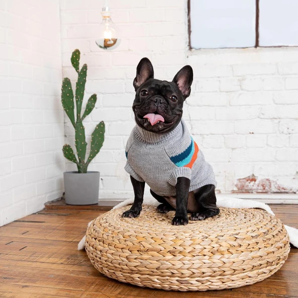 GF PET Alpine Köpek Süveteri Gri Small - Resim 3