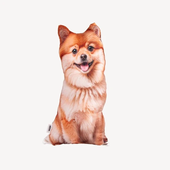 Lepus 3 Boyutlu Köpek Yastığı No 12 40x25 Cm ürün görseli 1