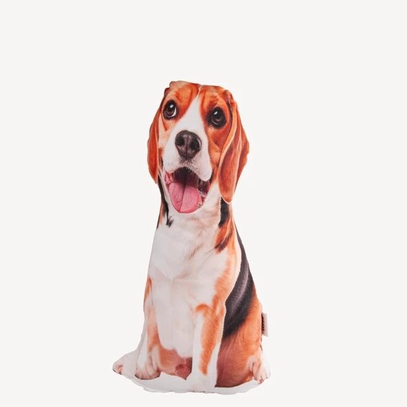 Lepus 3 Boyutlu Köpek Yastığı No 16 40x25 Cm ürün görseli 1