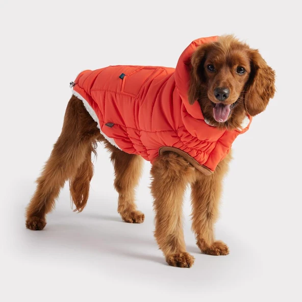 GF PET Arctic Parka Köpek Montu Turuncu Large - Resim 3