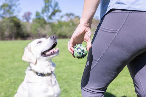 Hyper Pet 4'lü  Green Camo Tenis Topu Orta Boy 6.5 Cm - Resim 3