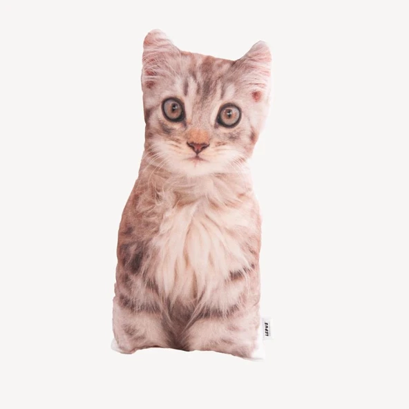 Lepus 3 Boyutlu Kedi Yastığı No 7 40x25 Cm ürün görseli 1