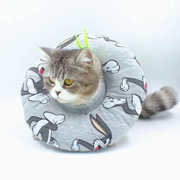 Lepus Kedi Köpek Yakalık Gri Small No:5 ürün görseli 1