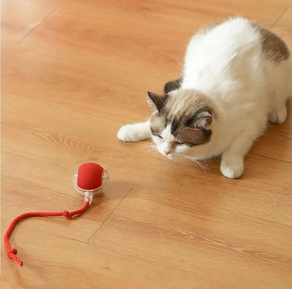 Lepus İnteraktif Şarjlı Kedi Oyuncağı - Resim 3