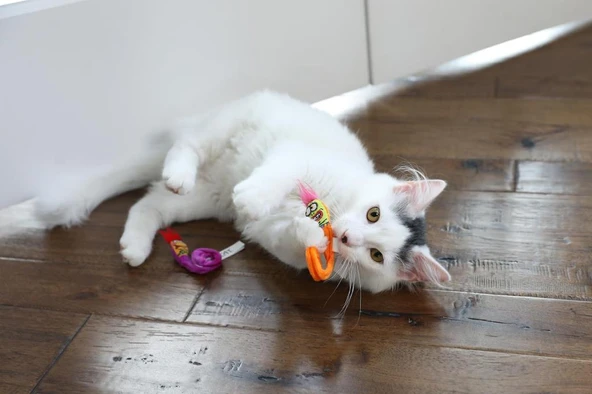 Fat Cat Springy Worms Kedi Otlu 2'li Peluş Kedi Oyuncağı - Resim 3